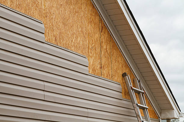 Professional Siding Inspection technician working in Amity, OR